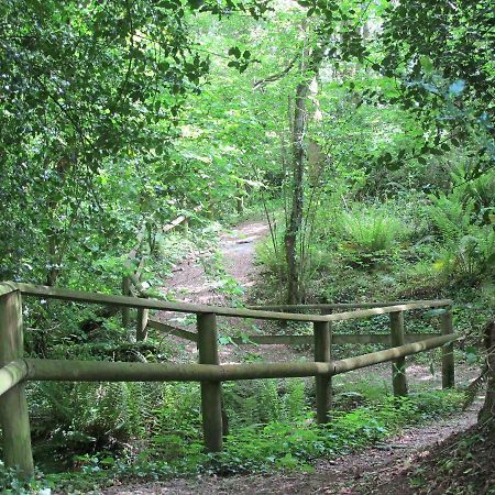 Castle Brake Holiday Park Exeter Bagian luar foto